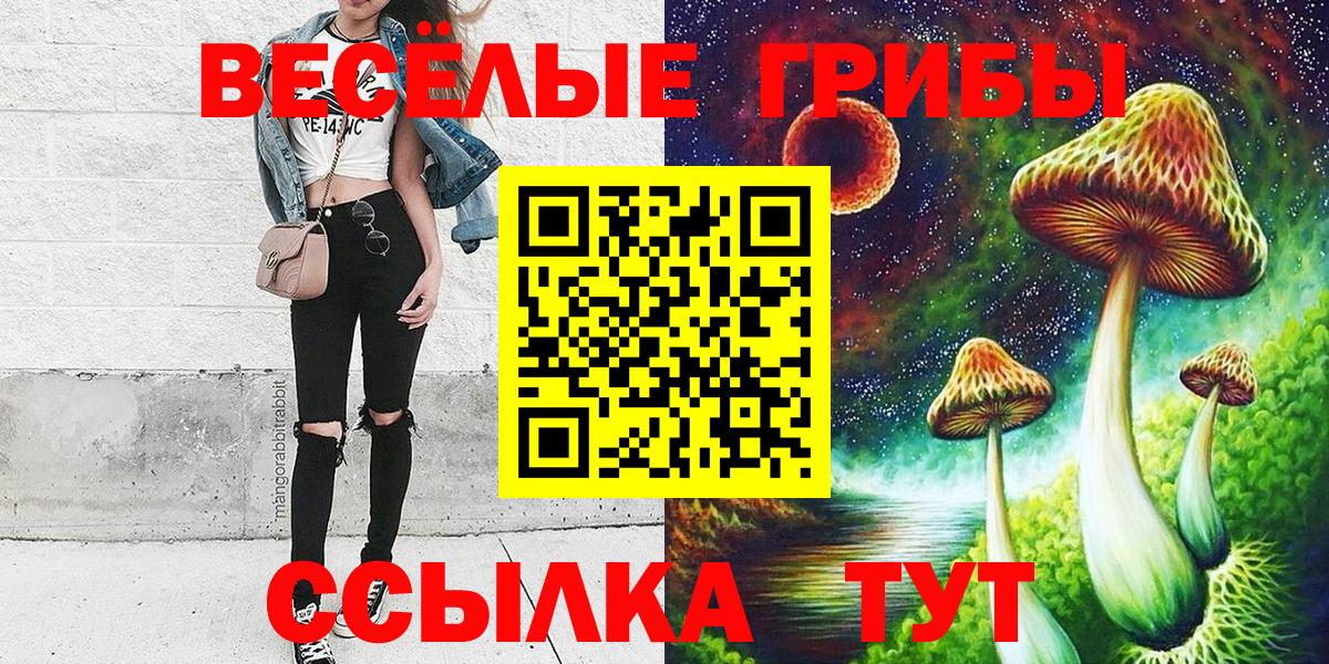 Кунгур  Псилоцибиновые грибы Psilocybine cubensis  Вход с VPN 