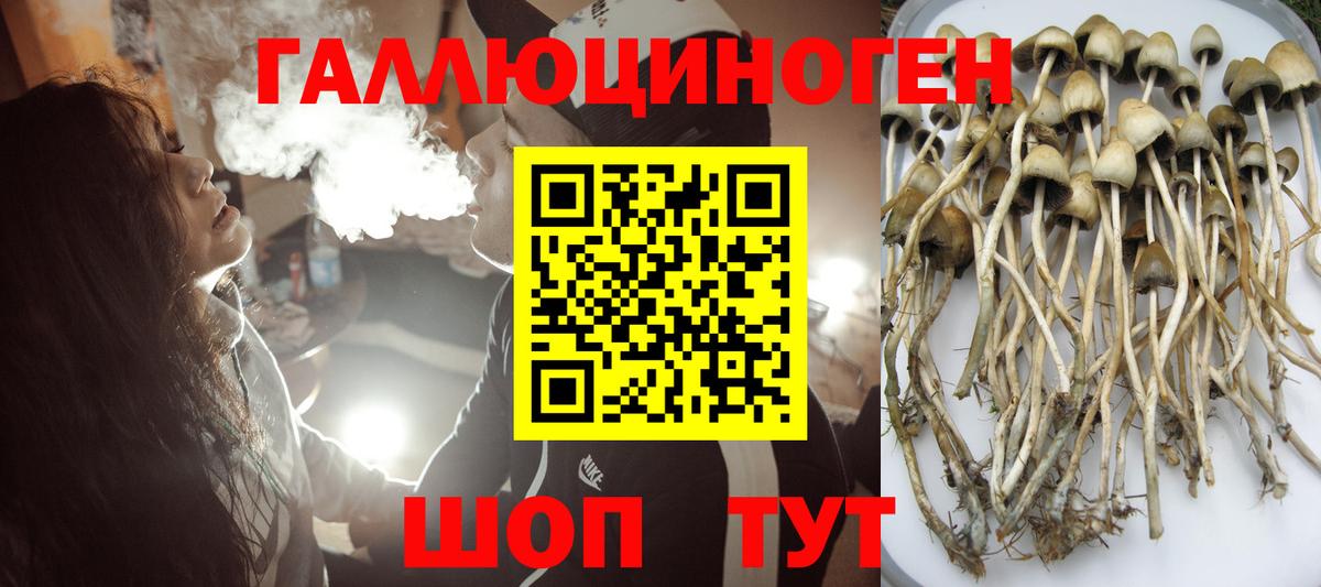 Псилоцибиновые грибы GOLDEN TEACHER Кунгур